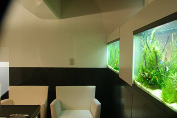 渋谷区　オフィスルーム内　1,200×450×450Hの水槽を2台並列して設置