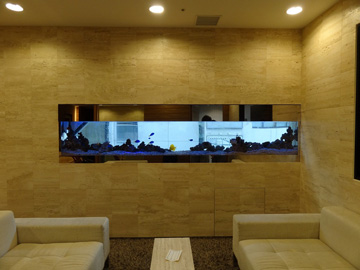 銀座　オフィス会長室　2,400mm壁埋め込み水槽