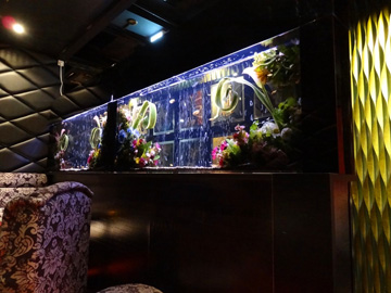東京都　高級クラブ様　「不思議の国のアリス」をイメージした水槽