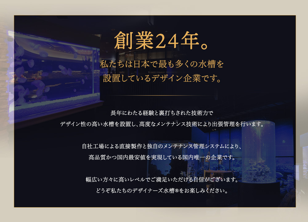 創業24年