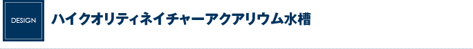 ハイクオリティネイチャーアクアリウム水槽