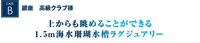 銀座　高級クラブ様｜上からも眺めることができる1.5m海水珊瑚水槽ラグジュアリー