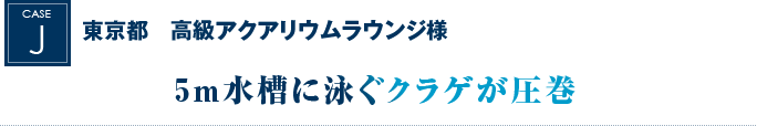 東京都　高級アクアリウムラウンジ様 ｜5メートル水槽に泳ぐクラゲが圧巻