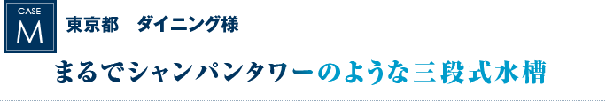 東京都　ダイニング様｜まるでシャンパンタワーのような三段式水槽