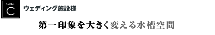 ウェディング施設様｜第一印象を大きく変える水槽空間