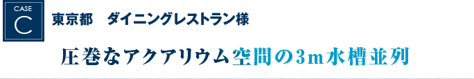 東京都　ダイニングレストラン様｜圧巻なアクアリウム空間の3メートル水槽並列