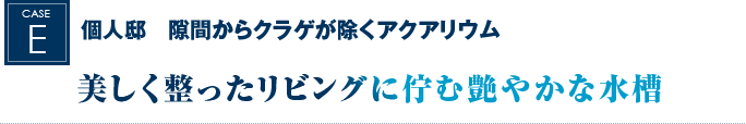 個人邸　隙間からクラゲが除くアクアリウム｜美しく整ったリビングに佇む艶やかな水槽