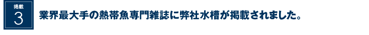 業界最大手の熱帯魚専門雑誌に弊社水槽が掲載されました。