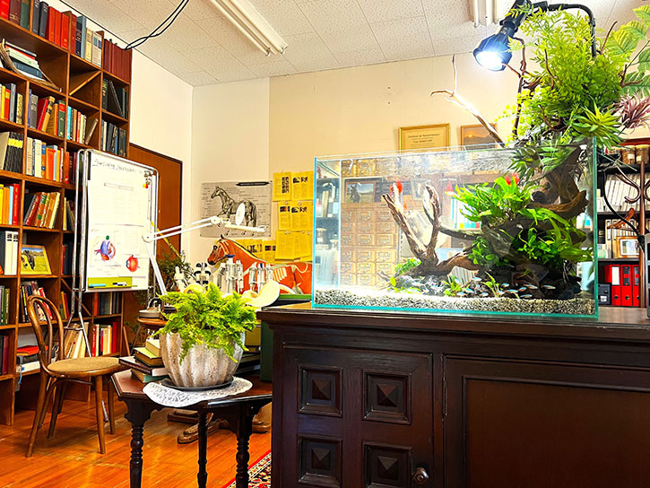 ザ・ロイヤルファミリー