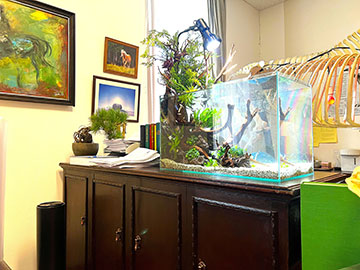 ザ・ロイヤルファミリー