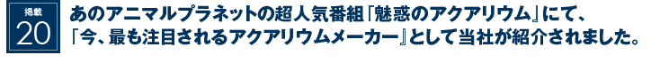 掲載19：あのアニマルプラネットの超人気番組『魅惑のアクアリウム』のコメンテーターを務めました。