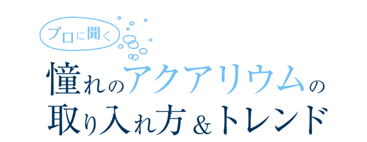 マドリーム