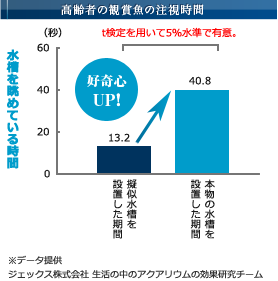 高齢者の観賞魚の注視時間