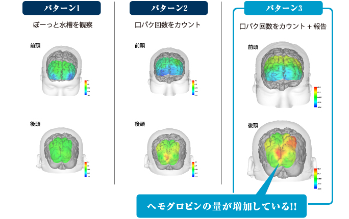 脳の活性化効果