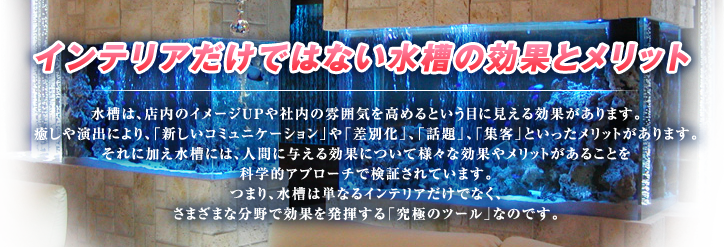 インテリアだけではない水槽の効果とメリット