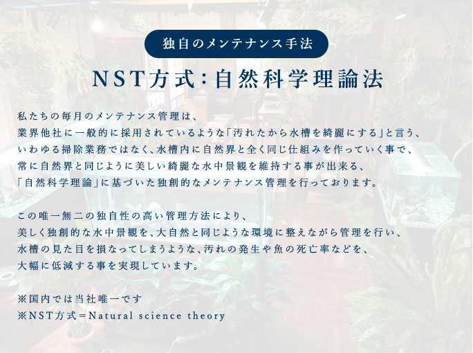 NST方式：自然科学理論法