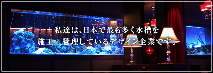 私達は、日本で最も多く水槽を施工／管理しているデザイン企業です。