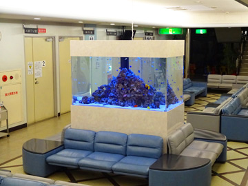 総合病院にフルオーダーの海水魚水槽