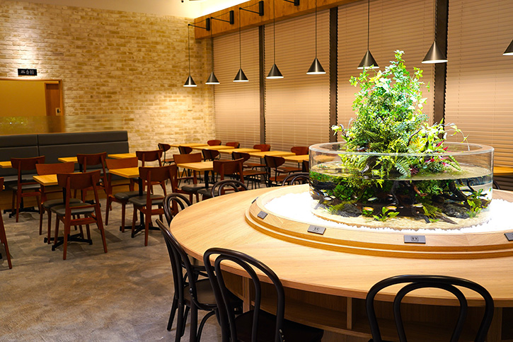 カフェの店内にテラリウム水槽を設置を導入！