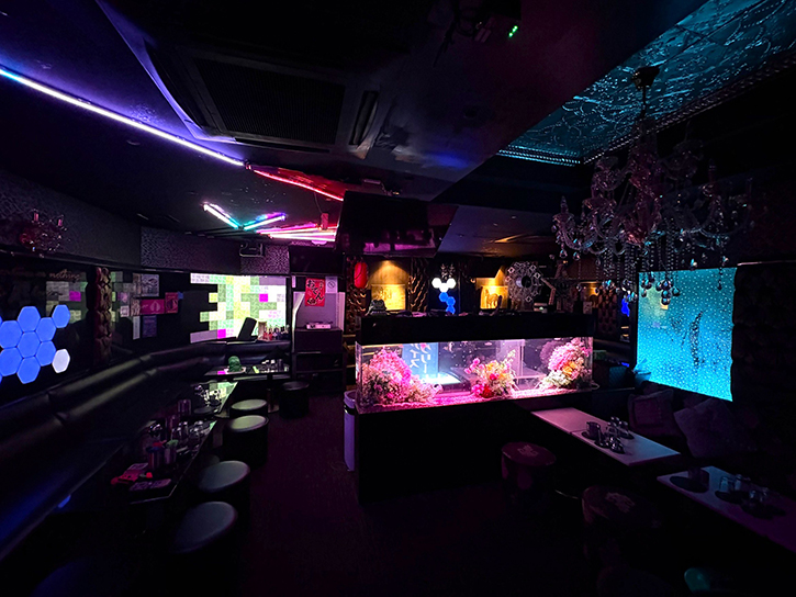 ナイト系のお店に造花水槽！