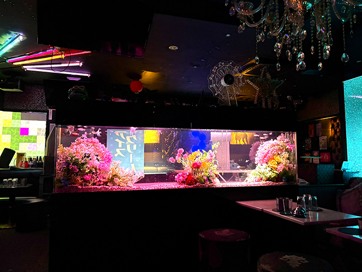 ナイト系のお店に造花水槽！