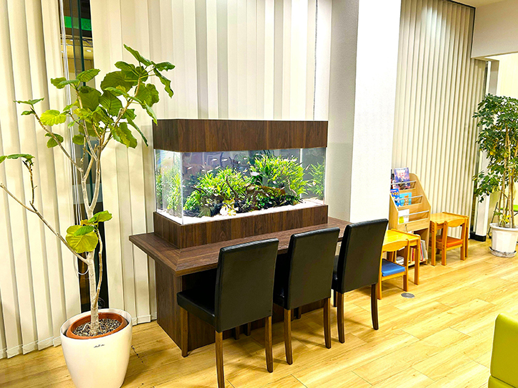 座ってゆっくり観察できる水草水槽！