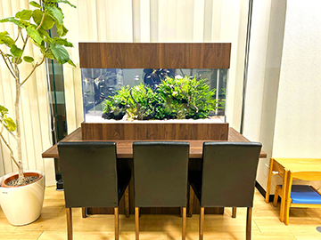 座ってゆっくり観察できる水草水槽！