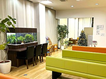 座ってゆっくり観察できる水草水槽！