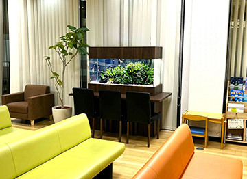 座ってゆっくり観察できる水草水槽！