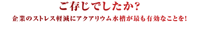 ご存じでしたか？企業のストレス軽減にアクアリウム水槽が最も有効なことを！