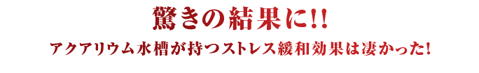 驚きの結果に！！アクアリウム水槽が持つストレス緩和効果は凄かった！