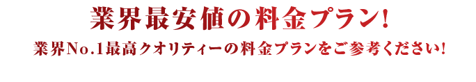 業界最安値の料金プラン!業界No.1最高クオリティーの料金プランをご参考ください!