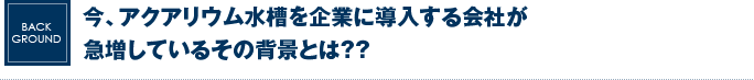 今、アクアリウム水槽を企業に導入する会社が急増しているその背景とは？？