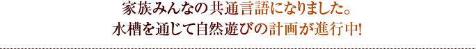 家族みんなの共通言語になりました。水槽を通じて自然遊びの計画が進行中！