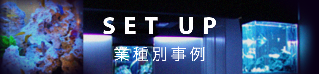 SET UP｜業種別事例