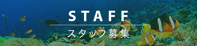 STAFF｜スタッフ募集