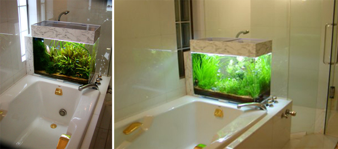 個人邸の水槽の設置先 熱帯魚アクアリウム 水槽インテリアのプロデュース メンテナンス
