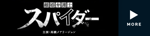 離婚弁護士スパイダー