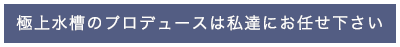 極上水槽のプロデュース