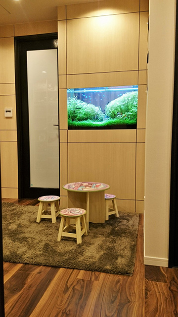 2つに分かれた大型海水魚水槽