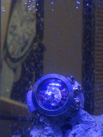ガミラノ×アクアリンク　コラボレーション時計ディスプレイ水槽