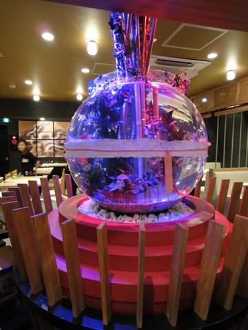 東京都　和食ダイニング様《日本初の巨大金魚鉢》
