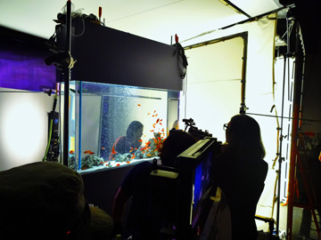 水原希子が出演する「資生堂マキアージュCM」へ。芸術的な水槽シーンをプロデュースしました。