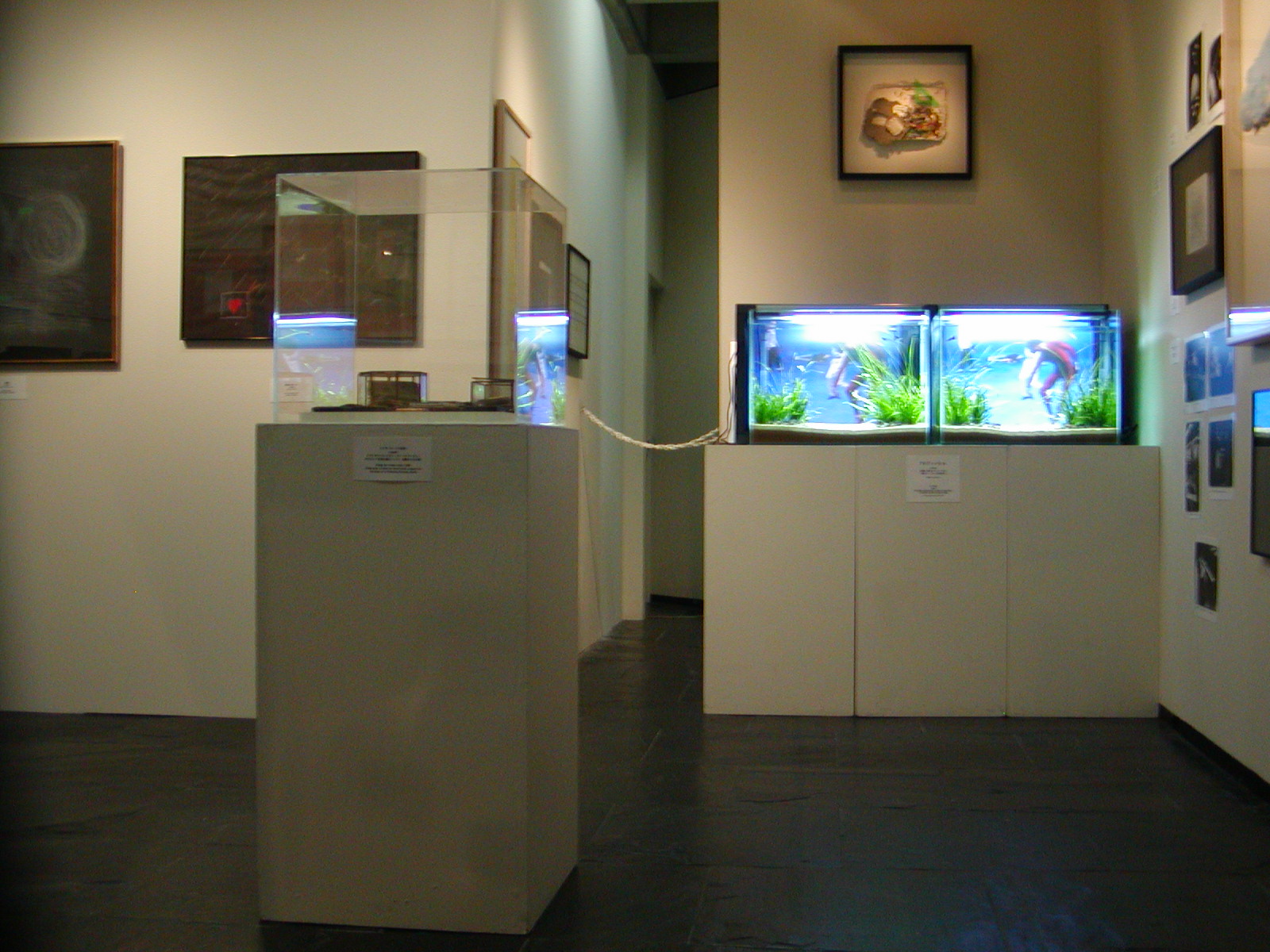 ワタリウム美術館　ナム・ジュン・パイク展へ　技術提供