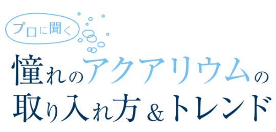 マドリーム